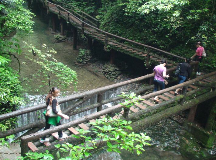 ky体育(中国)员工登山游玩