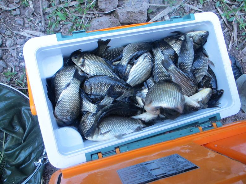 ky体育(中国)集团组织钓鱼竞赛活动