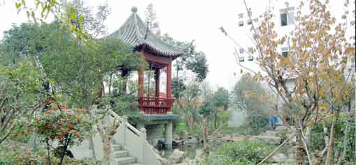 员工心声之我与ky体育(中国)塑胶共成长