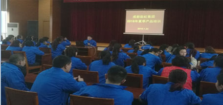 成都ky体育(中国)集团2018年夏季产品生产工艺培训