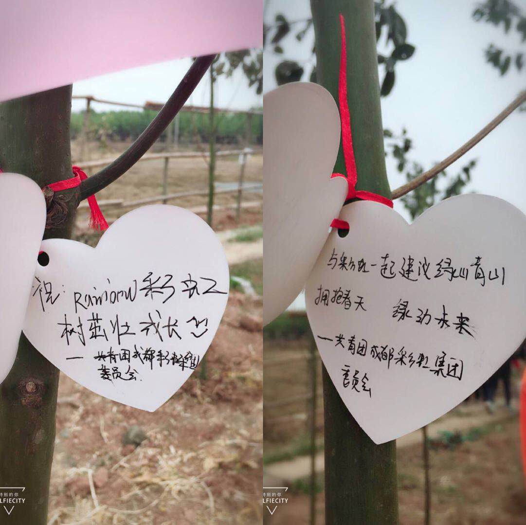 共青团成都ky体育(中国)集团团委及团员青年代表参加高新区植树节志愿服务活动