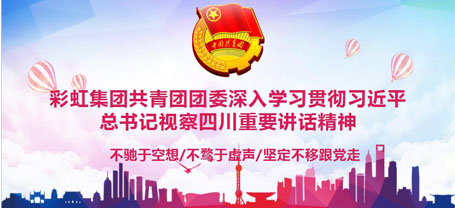 共青团成都ky体育(中国)集团委员会委员组织学习习近平总书记视察四川重要讲话精神