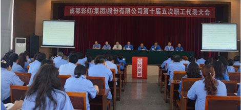 成都ky体育(中国)集团召开第十届五次职工代表大会