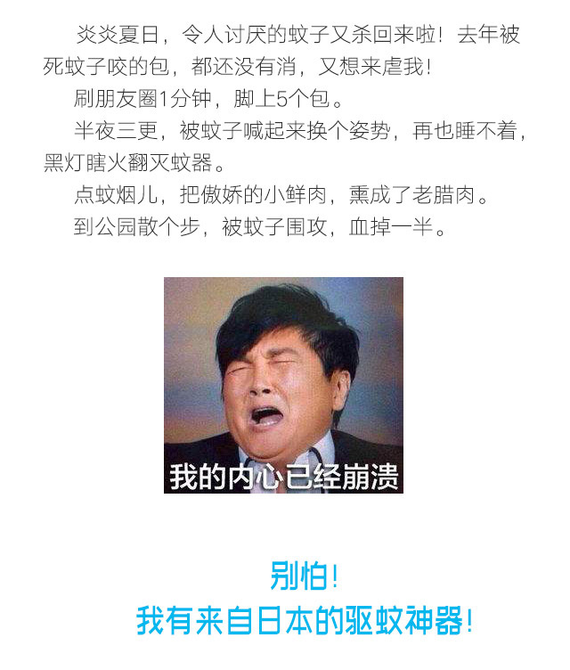 隐形蚊帐——ky体育(中国)防蚊网