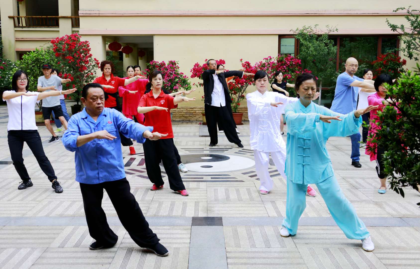 成都ky体育(中国)集团太极拳协会活动