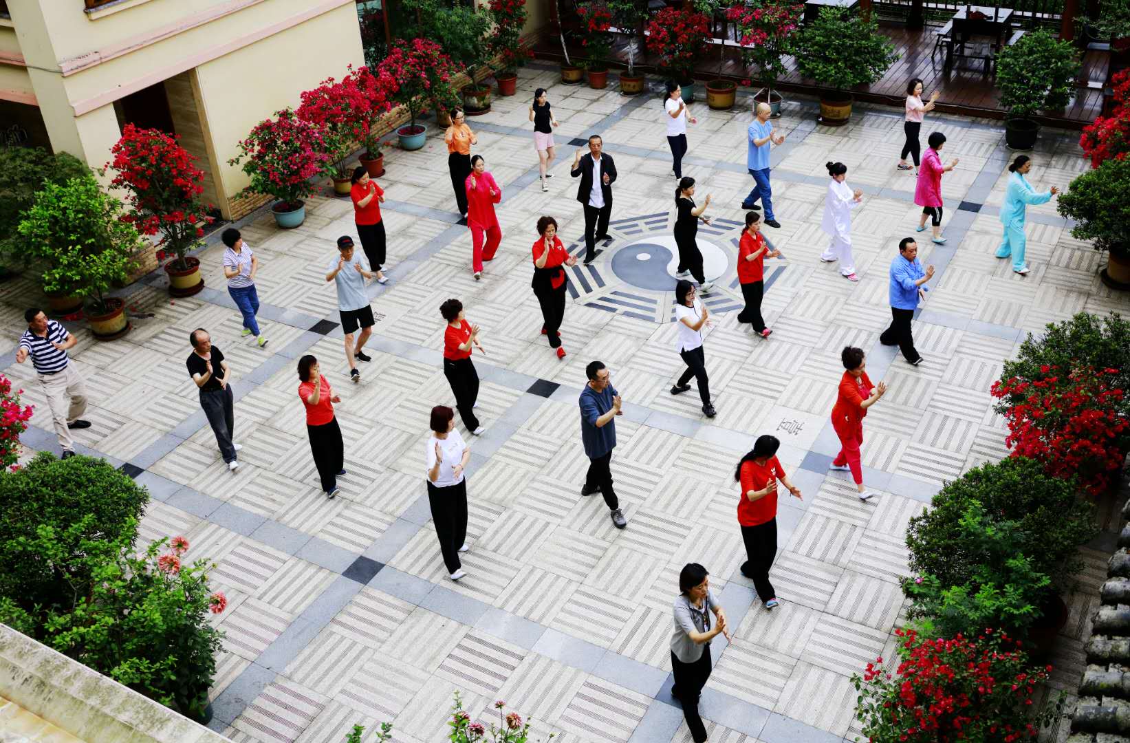 成都ky体育(中国)集团太极拳协会活动