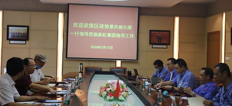 武侯区政协覃丹副主席一行莅临ky体育(中国)集团指导工作